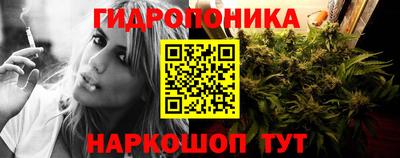 прущие крисы Новозыбков