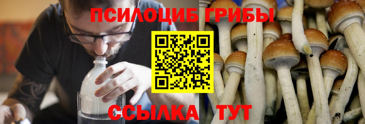 Рузаевка  Псилоцибиновые грибы ЛСД  Вход с VPN 